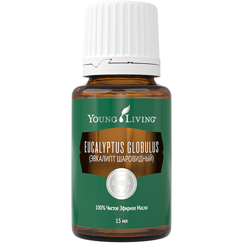 Эфирное масло эвкалипта, Eucalyptus Globulus Oil, 2 мл.